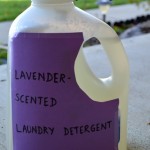 DIY Easy, 3-Ingredient, Non-Toxic Laundry Detergent (Lavender)